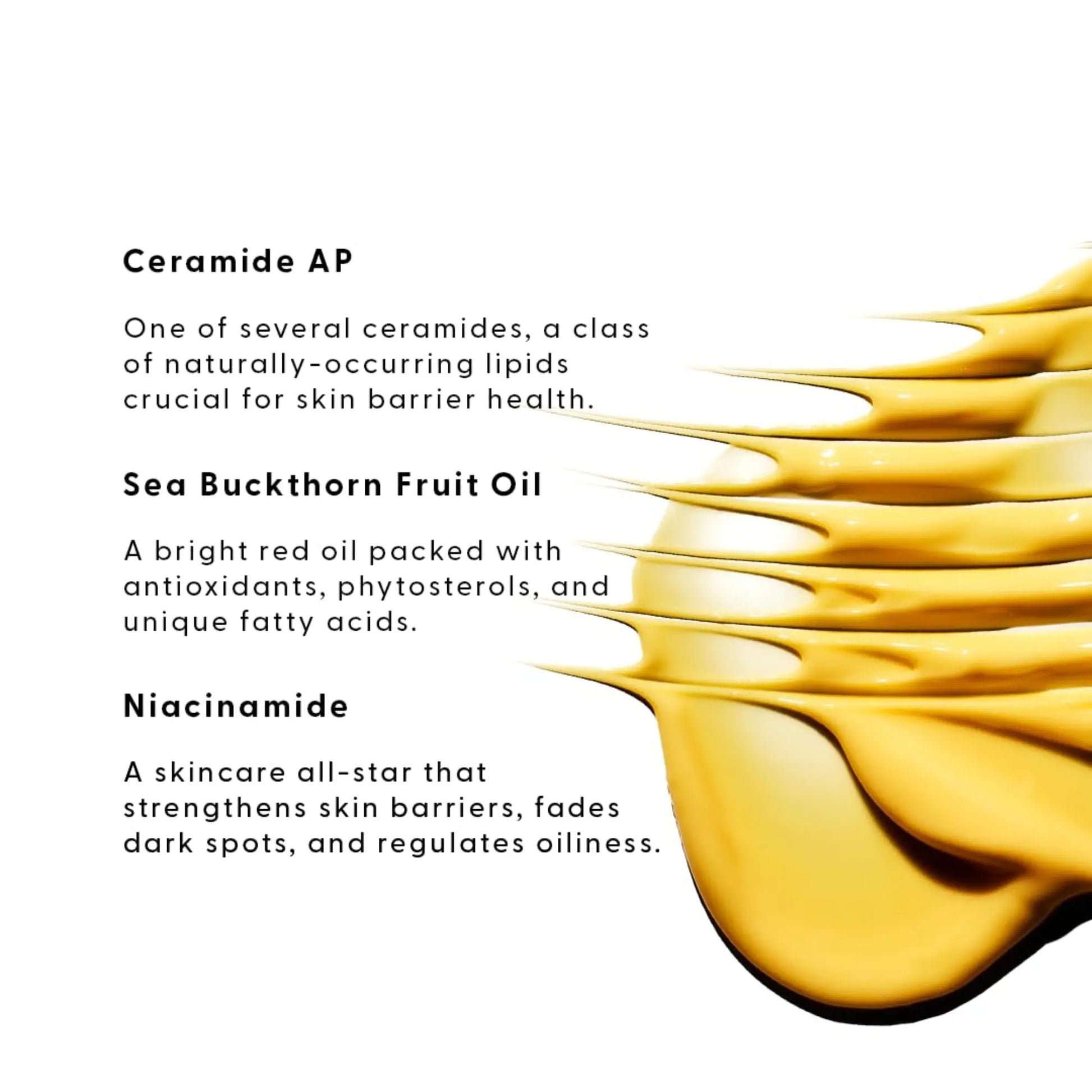 Text about Ceramide AP, Sea Buckthorn Fruit Oil, and Niacinamide with a yellow oil texture on a white background.