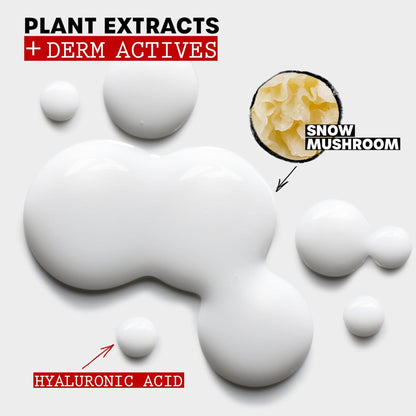 Product display with snow mushroom and hyaluronic acid labeled on a white background