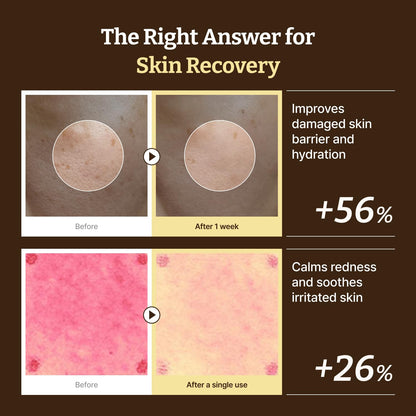 Dr. Reju-All Advanced PDRN Rejuvenating Cream, (USA Version)-20ml