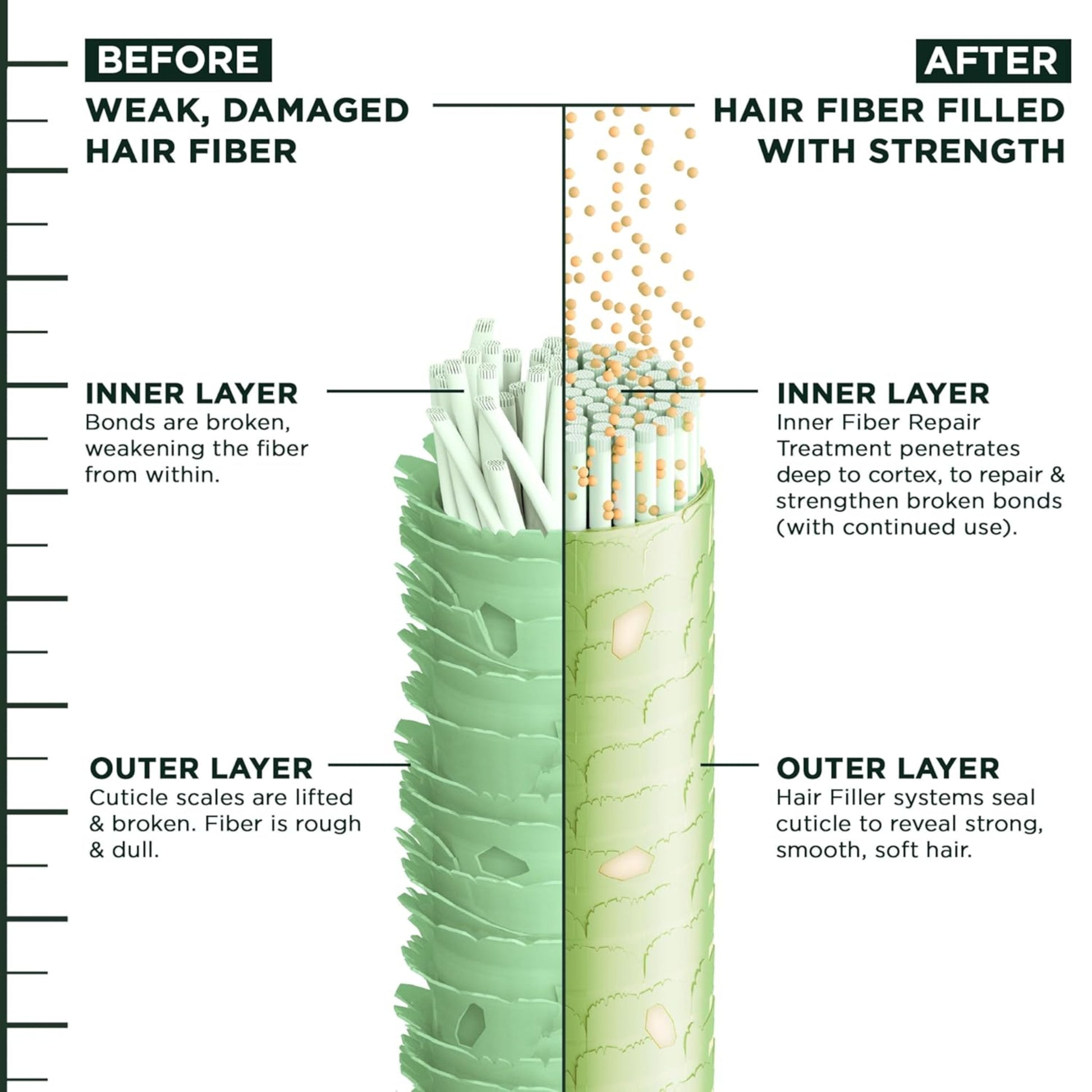 Diagram showing the before and after effects of hair fiber treatment on damaged hair.