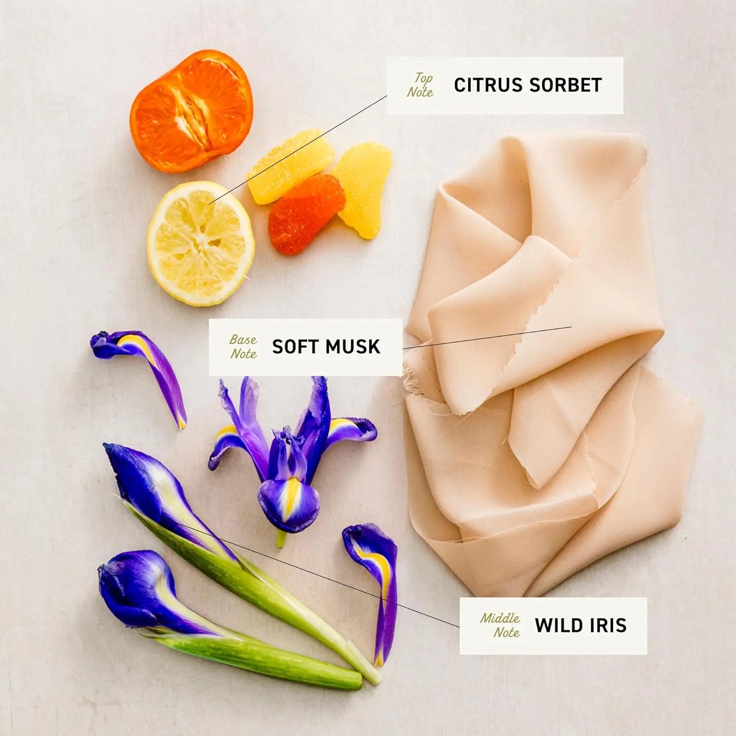 Cremo ,Wild Iris Musk Skin Moisturizing Body Wash for Women, 473ml - Antiaging Cosmetics