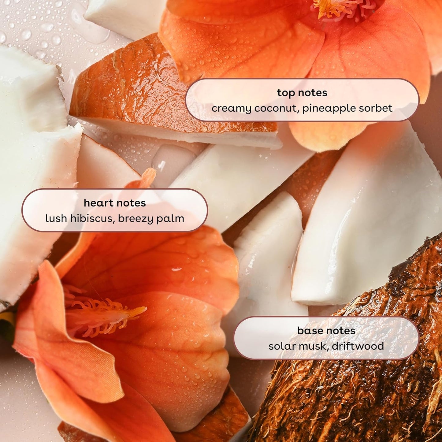 eos Cashmere Body Mist Coconut Waters Hair and Body Spray Hydrating Coconut Perfume 177ml EOS