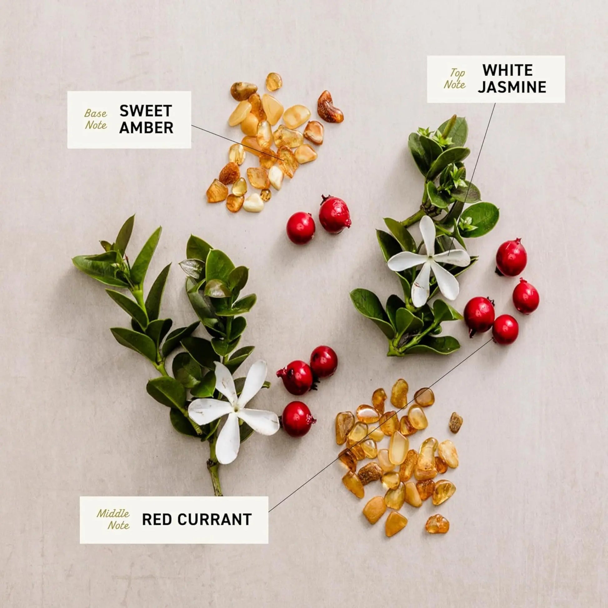 Scents with labels for Sweet Amber, White Jasmine, and Red Currant on a neutral background