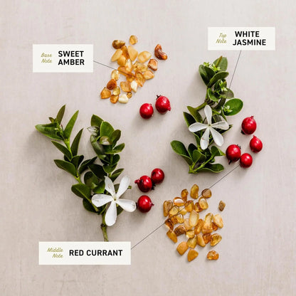 Scents with labels for Sweet Amber, White Jasmine, and Red Currant on a neutral background
