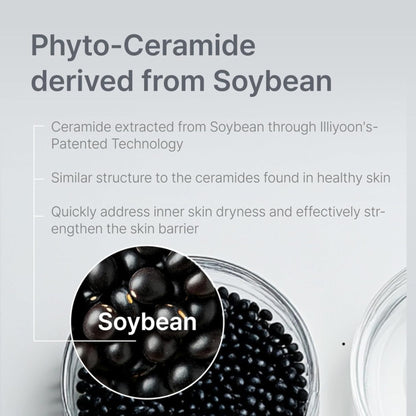 Information about Phyto-Ceramide derived from Soybean with text and soybeans shown.