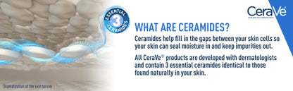 CERAVE - Peptide Ceramide Renewing Night Cream - 1.7oz(48gr) - Antiaging Cosmetics