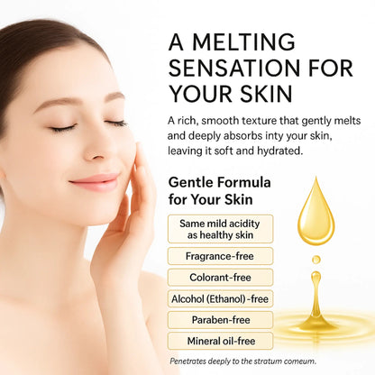 Rohto Mentholatum - Hada Labo Gokujyun Premium Lotion - 170ml - Antiaging Cosmetics